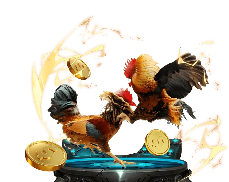 Cá cược các môn thể thao khác tại đá gà đông timor